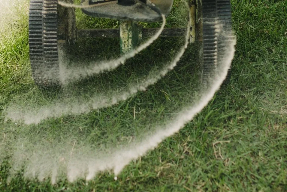 fertilization fertilization